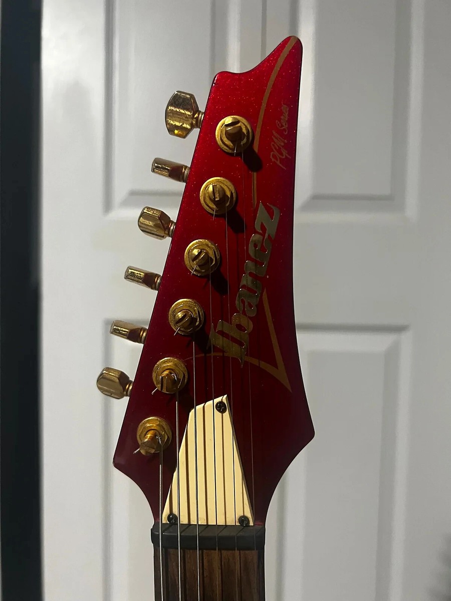 ハードケースのみ Ibanez USA custom アイバニーズ アイバニーズ PGM400 ハードケース Ibanez RG J-Custom Prestige
