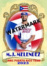 M.J. MELENDEZ PR FLAG  WORLD BASEBALL CLASSIC 2023 CUSTOM CARD