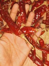 Red pepper Dried Red Chili whole Natural Hot spices Free premium Quality free