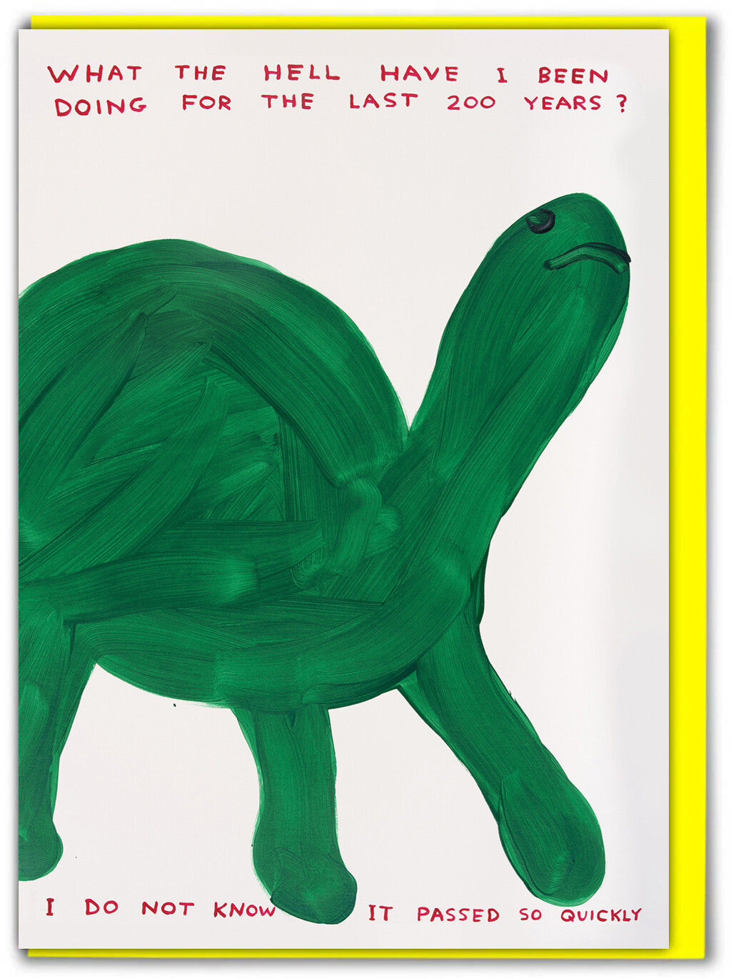David Shrigley Funny Birthday Greeting Card Hilarious Humour Witty Cheeky