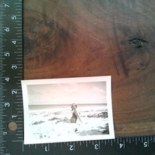 Woman Swimsuit 1940s 1950s Snapshot Photograph Beach Ocean Vintage Americana