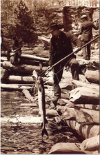 Spearing Sturgeon in Lower Wisconsin Dells - Chrome Postcard- HH Bennett Photo