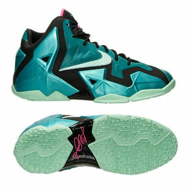 lebron xi kids