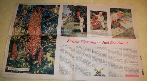 VTG 1955 CLEVELAND PLAIN DEALER PICTURE MAGAZINE NEWSPAPER OHIO AMERICAN LEGION - Picture 10 of 12