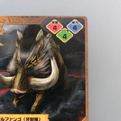 Monster Hunter Trading card 
