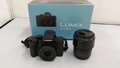 PANASONIC LUMIX DC-G100DK Mirrorless Camera | eBay