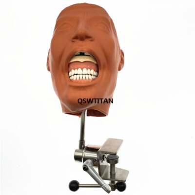 Dental Simulator Nissin Manikin Phantom Head  Model With New Style Bench Mount 