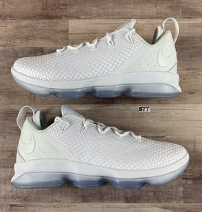 lebron 14 low white