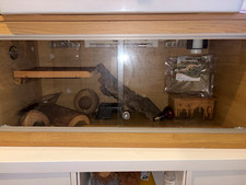 Reptile Vivarium Decor Bundle: Hides, Slate Rock, Cork Log, Moss, Dish