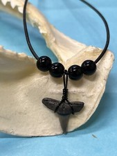 SHARK TOOTH NECKLACE ( Fossilized ) ..1/2 Inch BLACK TIP Shark Tooth 