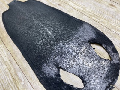 BLACK Genuine Polished Sanded Stingray Hide Skin Sting Ray Leather Shagreen 820