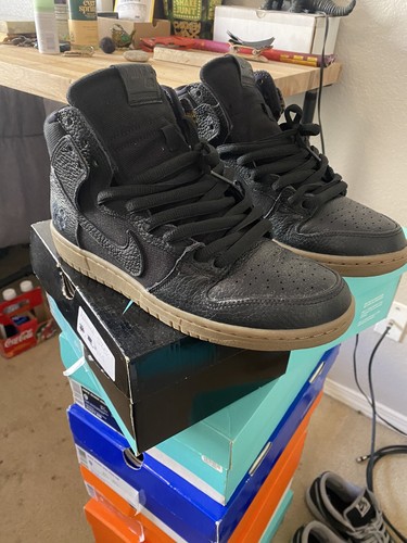 nike dunk high brian anderson