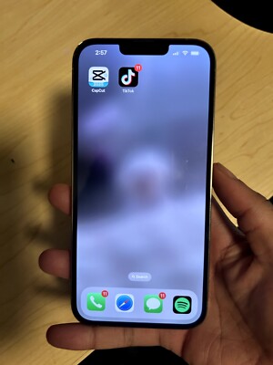 Apple iPhone 13 Pro Max - 256 GB - Graphite, Gold, Alpine Green, Sierra Blue,...