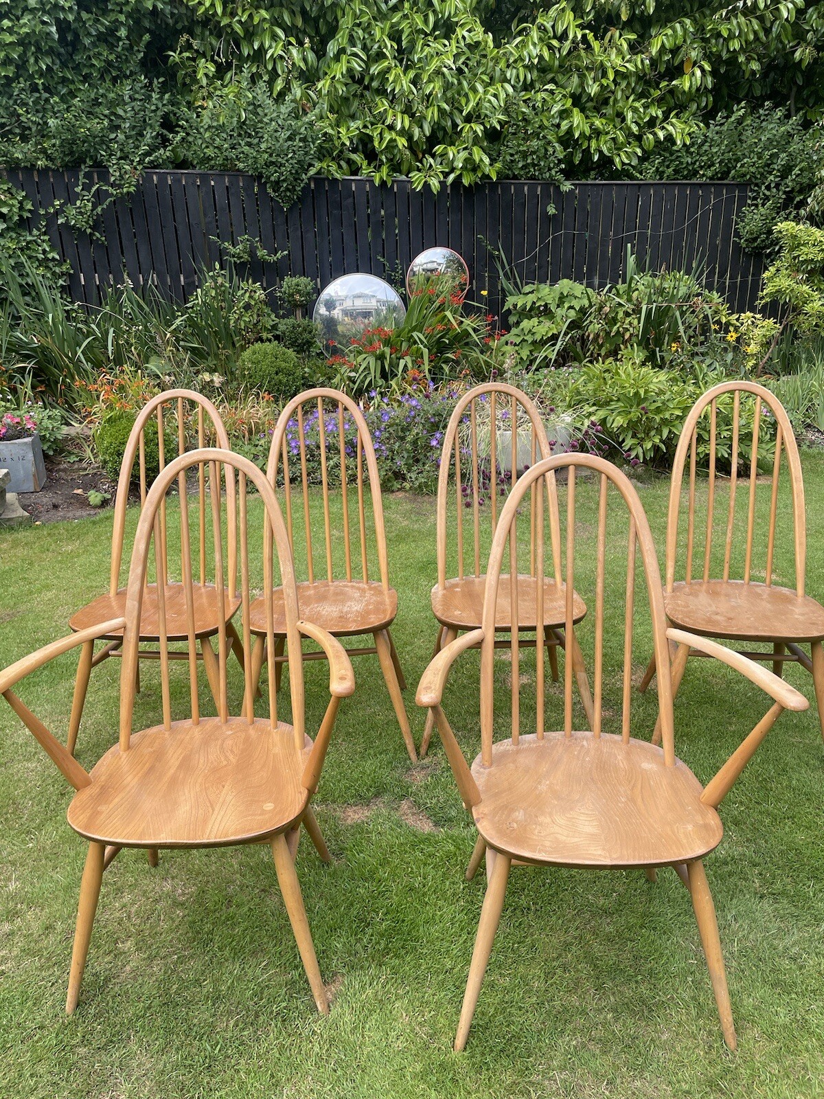 ERCOL WINDSOR 1960's QUAKER BLONDE CHAIRS set of 6 type 365 & 365A