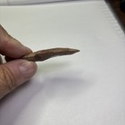 authentic indian arrowhead artifact — photo 6