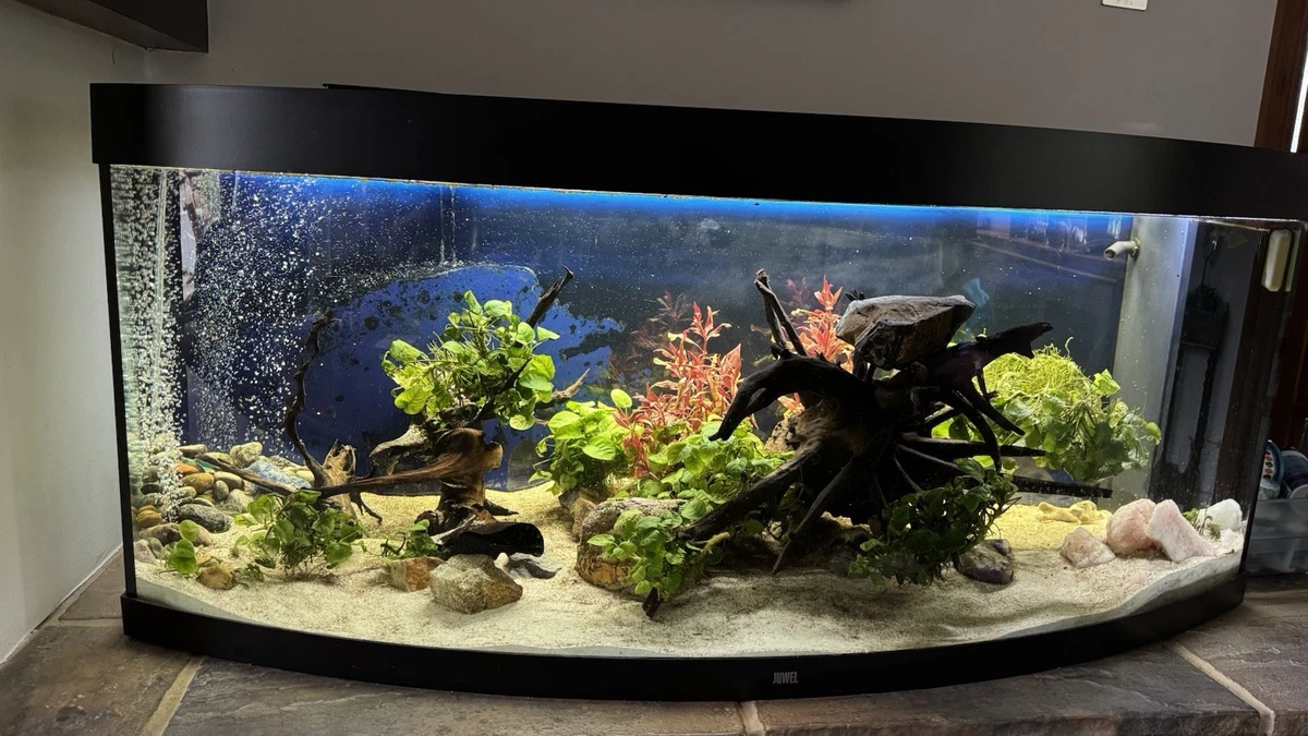 All Water Types 5 ft Tank Width Aquariums for sale | eBay UK