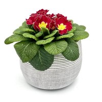 Blumentopf ÜBertopf Pflanztopf Pflanzschale Rund Beton Topf KüBel Ø 17 Cm, 17-3