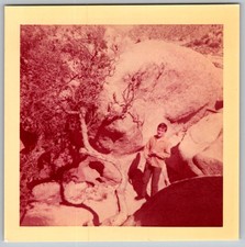 Vtg Color Snapshot Man With Rocks And Tree 1960s