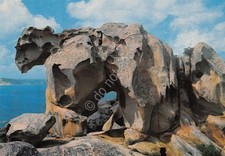 Cartolina Palau Capo d'Orso