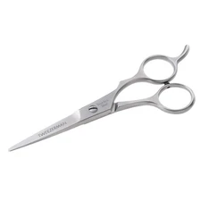 Tweezerman Stainless 2000 5.5 Inch Styling Shears; Hair Scizzors for Men & Women