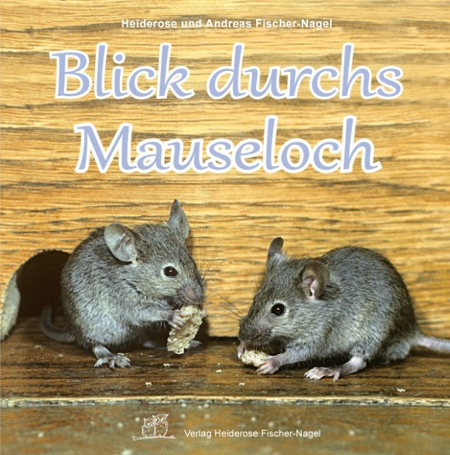 Blick durchs Mauseloch (Spannende Natur) - Bild 2