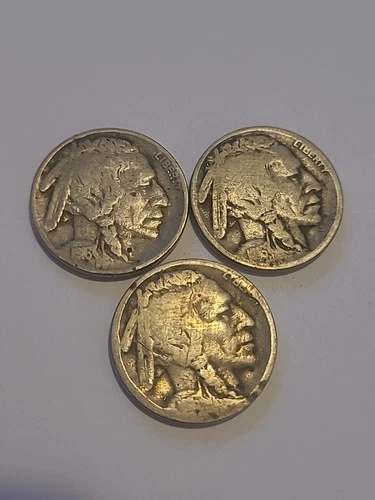 1916 P-D-S Buffalo Nickels Lot #002