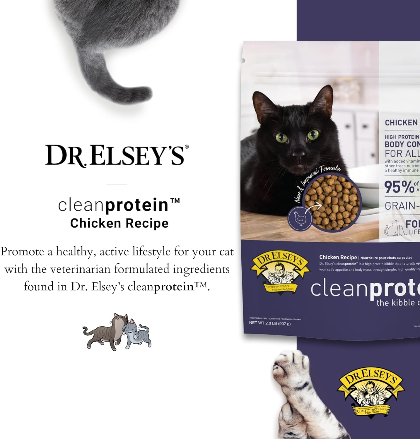Dr. Elseys Cleanprotein Cat Food Chicken Low Carb 2Lb eBay