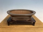 Unglazed Shohin Size Tokoname Bonsai Tree Pot By Bigei 6 1/4”