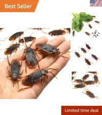 10PCS Realistic Fake Cockroach Toys for Hilarious Pranks and Halloween Fun