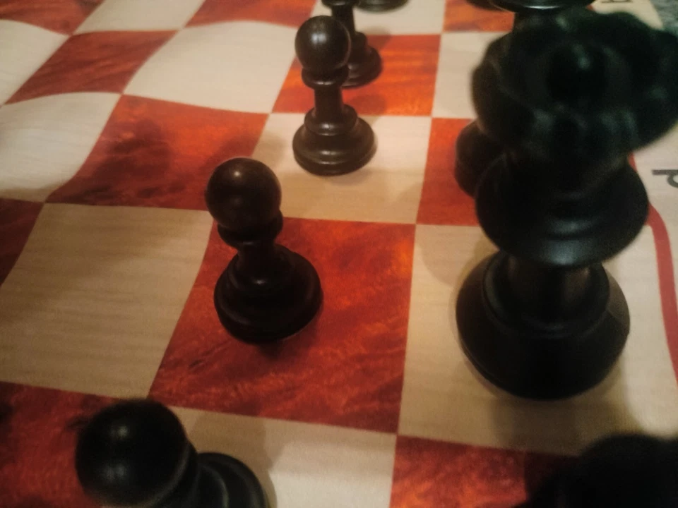 Chess ♟️Set Green Carry Bag Roll Up Vinyl Square Blk/White 32 Pieces Plus DVD 📀 - Image 4 of 4