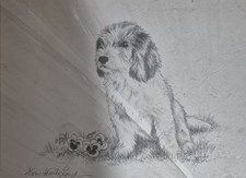 This pencil drawing depicts a shaggy-coated dog breed, likely a Petit Basset...