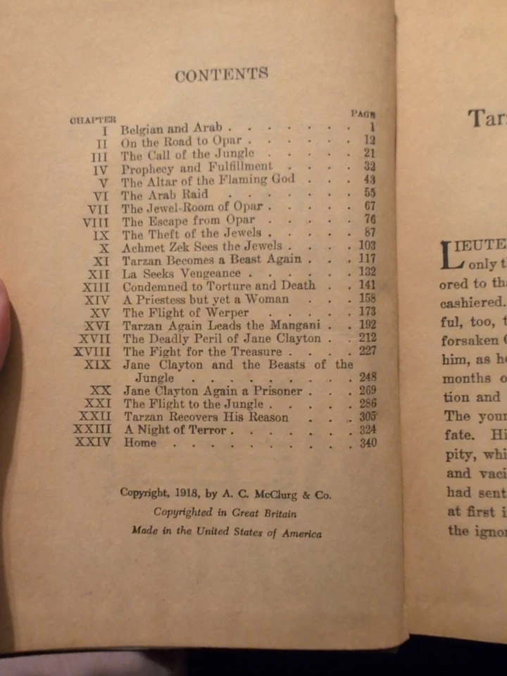 TARZAN AND THE JEWELS OF OPAR / ERB / St. John / DJ - Image 4 of 4