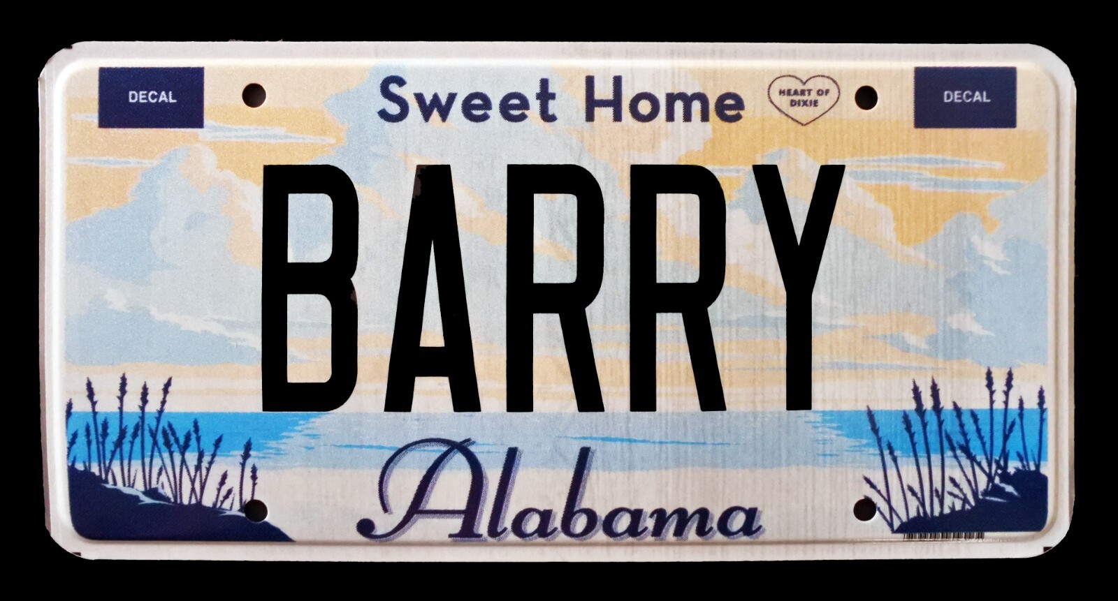 SWEET HOME ALABAMA VANITY GRAPHIC AUTO LICENSE PLATE " BARRY " BARACK
