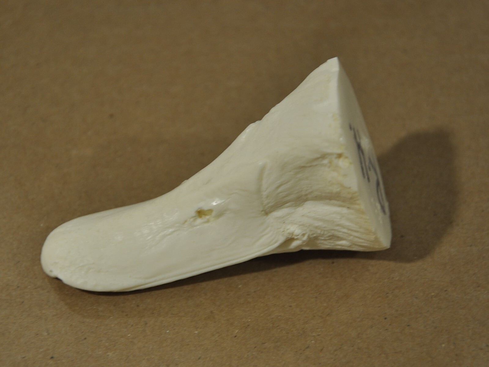 RED HEAD drake duck decoy decoys study bill eBay