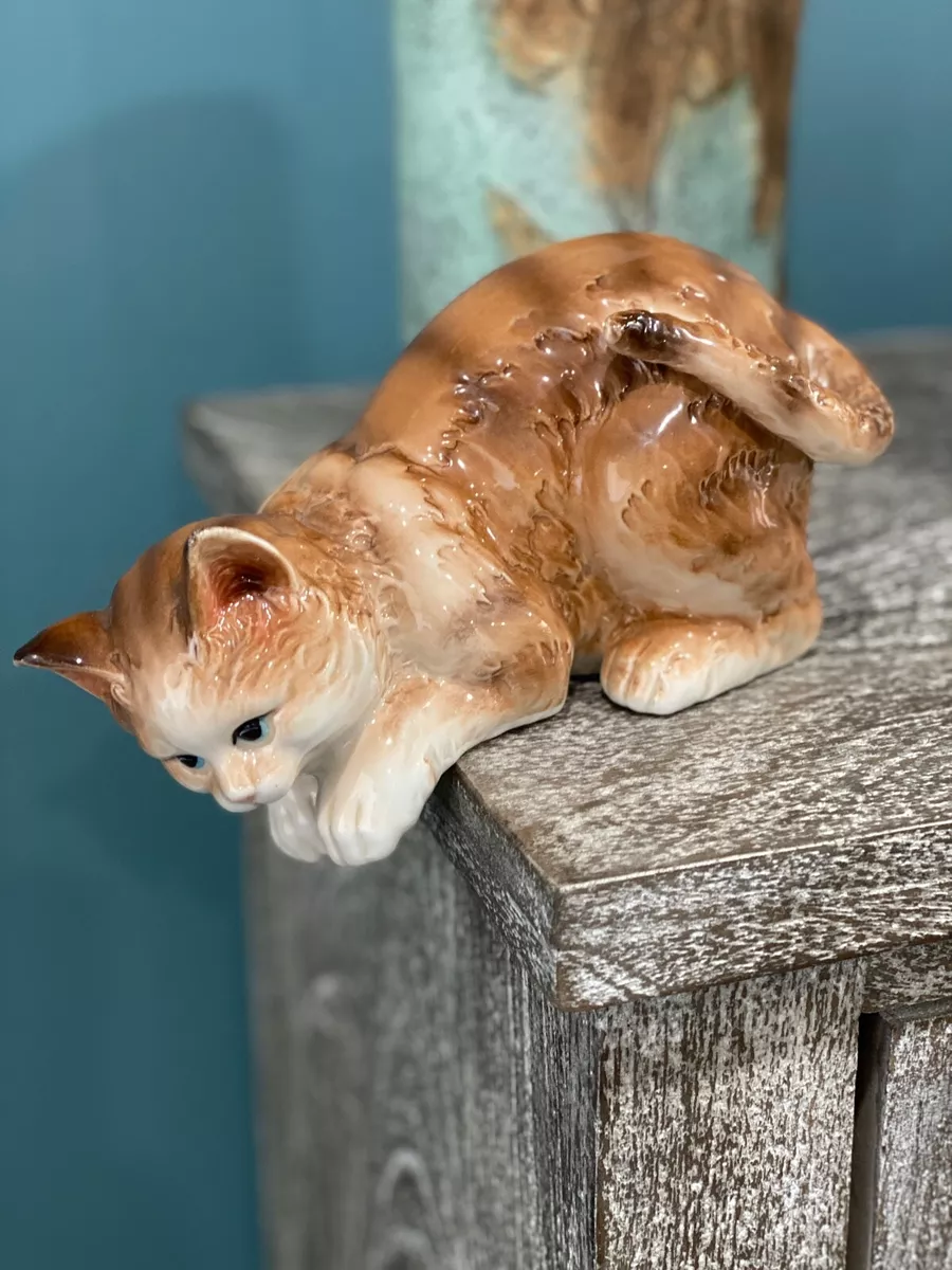 Cat hot sale climbing down