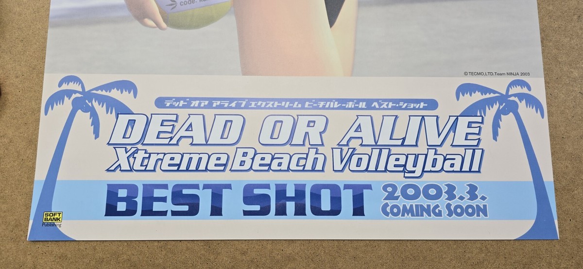 Dead or Alive Xtreme Beach Volleyball Best Shot Promotional Poster
