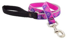 Lupine Reflective Dog Leash 4-Foot by 1" Wide Pink Paws
