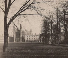 1910s University Campus Trees Gothic Architecture Winter Shadows Artistic View
