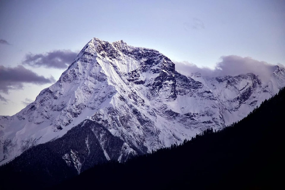 EF/EF-S 420-800mm F8.3 Telephoto Zoom Lens(MF) for Canon EOS Rebel T8i/T7i/T7... - Image 2 of 4