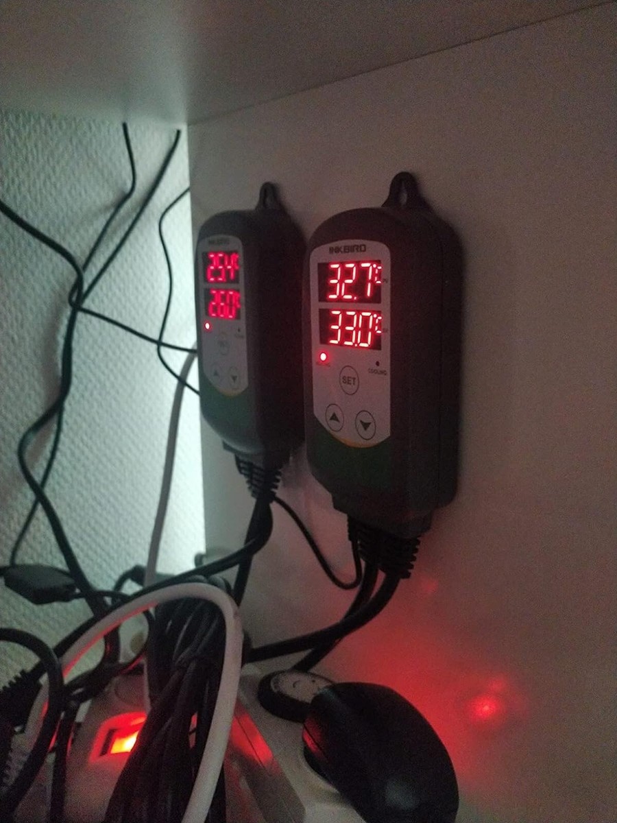 Inkbird ITC-308 WiFi Termoregolatore Digitale E IHC-200 Wi-Fi - Foto 8