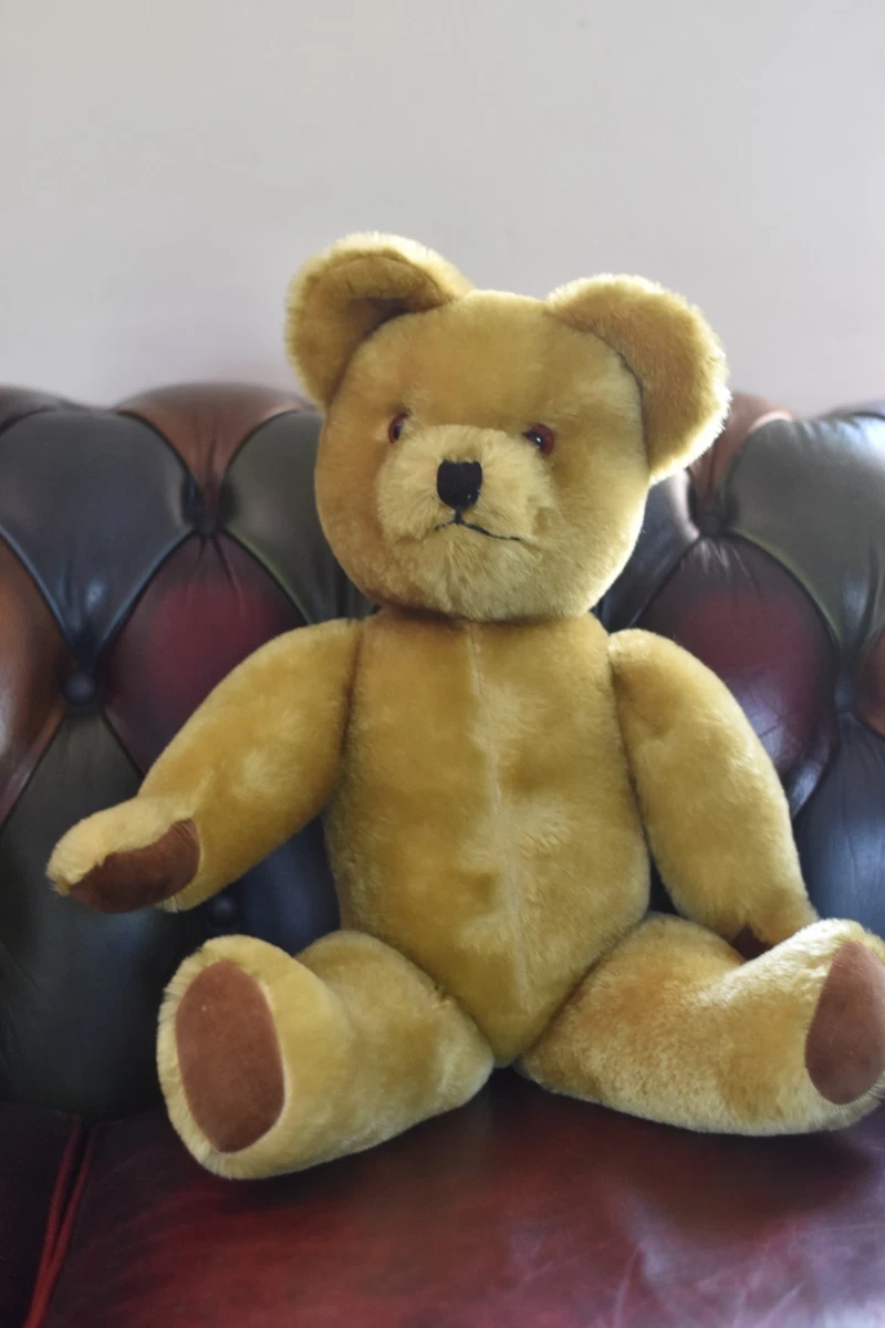 Pedigree Bear for sale | eBay UK