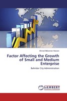 Ahmed Mekonnen Hassen | Factor Affecting The Growth Of Small And Medium...