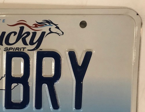 Vanity BLUEBERRY license plate Blue Fruit Farmer Food Pie Jam Farm Agriculture - Picture 6 of 12
