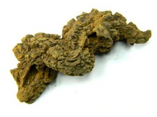 Coprolite from a giant ancient Turtle Fossil Madagascar 36.54 grams