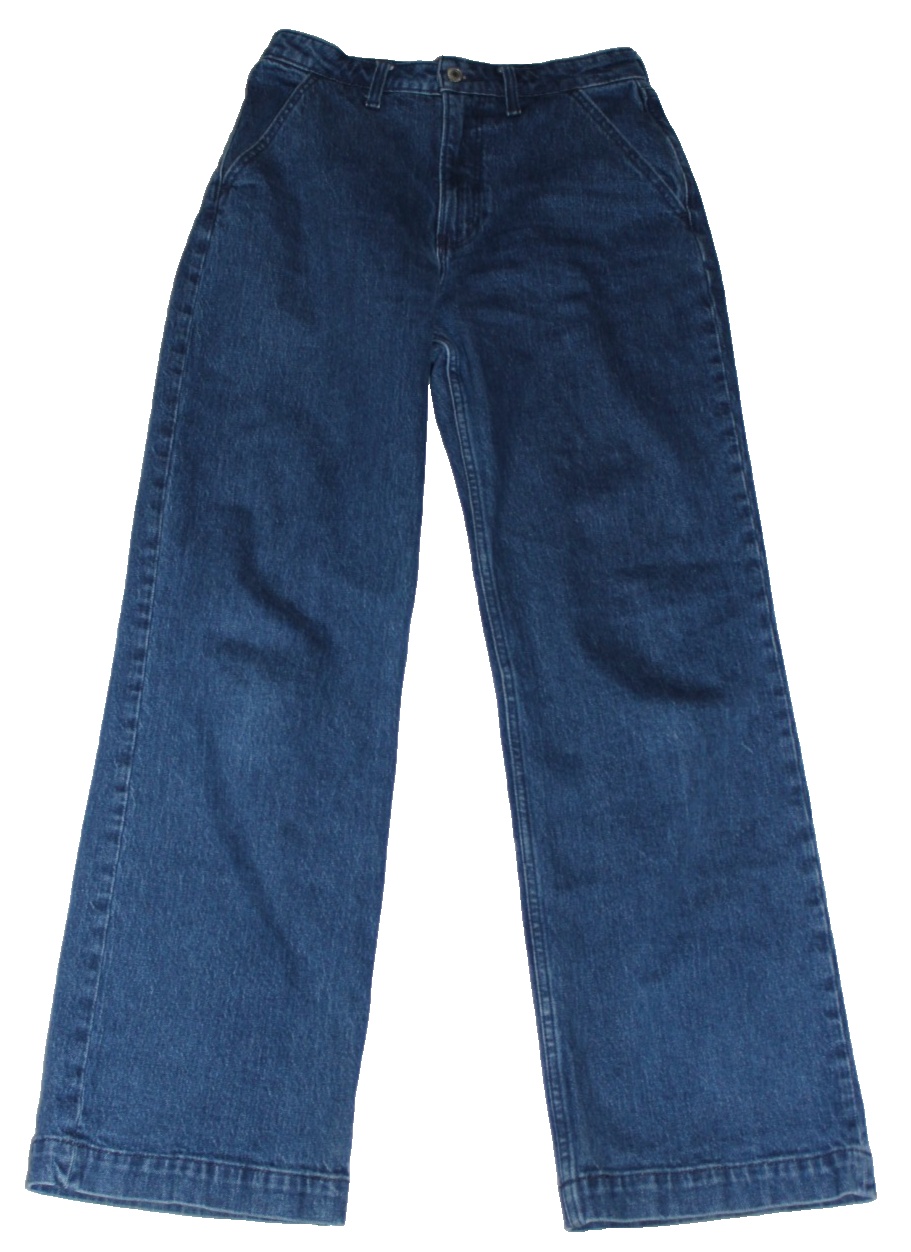 Abercrombie & Fitch The 90s Relaxed Jean High Rise Curve Love Women's Size 28/6R