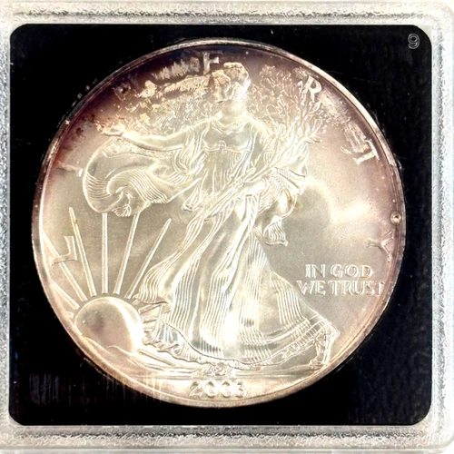 2003 American Silver Eagle 1 oz Fine Silver - Uncirculated/Toning
