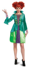 Hocus Pocus Wini Adult Halloween Costume