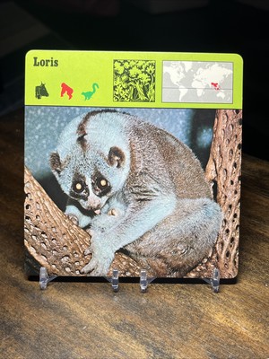 Loris, 1976 Editions Recontre 4 3/4'' x 4 3/4'' Card