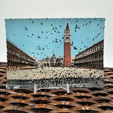 Vintage Venice Italy Postcard – Piazza San Marco St. Mark’s Square Pigeons BSV