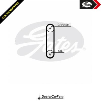 Oil Pump Timing Belt FOR SKODA RAPID 12->ON CHOICE1/2 1.6 Diesel CAYB CAYC CLNA